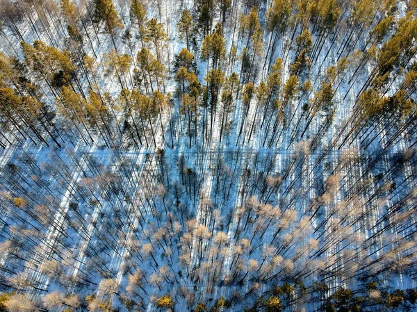 Landschaft Aus Schneebedeckten Wäldern Größeren Khingan Gebirge Auch Bekannt Als — Stockfoto