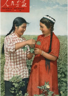 This cover of the China Pictorial 21st issue in 1960 features female Chinese worker Gao Xuelan, left, from the Tarim No.1 Farm of the Xinjiang Production and Construction Corp. teaching pruning of cotton plants to Uighur woman Aimaihan of the Tarim P clipart