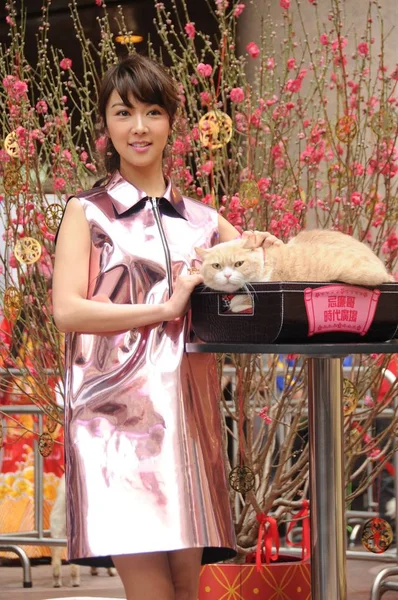 2015年2月9日 香港歌手兼女演员菲奥娜在中国香港举行的向新年致意的活动中与一只猫摆姿势 — 图库照片