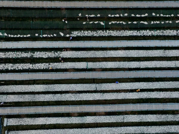 Vista Aérea Dos Aldeões Chineses Que Secam Peixes Chão Sol — Fotografia de Stock