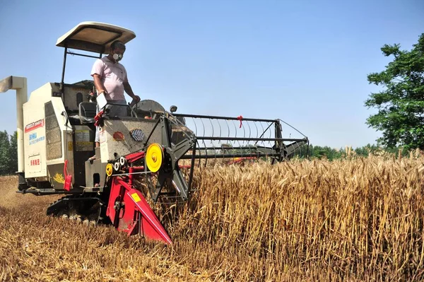 Una Máquina Segadora Cosecha Arroz Campo Condado Runan Ciudad Madian —  Fotos de Stock