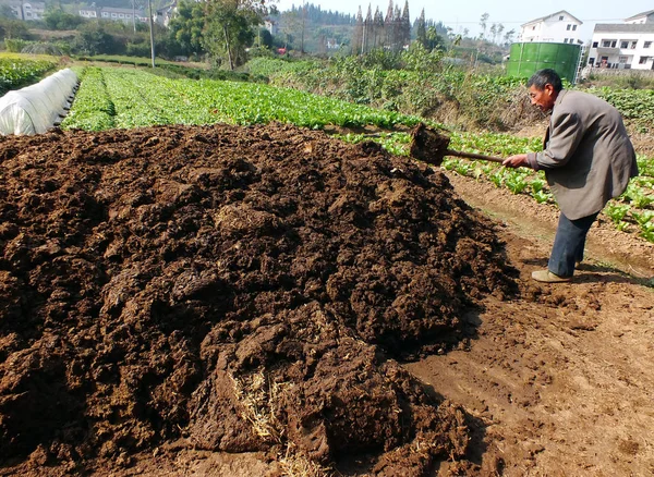 Ein Chinesischer Bauer Häuft Toilettenabfälle Als Dünger Auf Einem Feld — Stockfoto