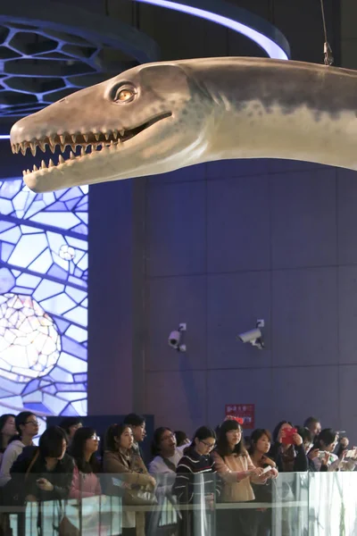 Les Visiteurs Regardent Spécimen Dinosaure Exposé Musée Histoire Naturelle Shanghai — Photo