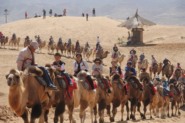 Los Turistas Montan Camellos Desierto Lugar Escénico Shapotou Durante Las — Foto de Stock