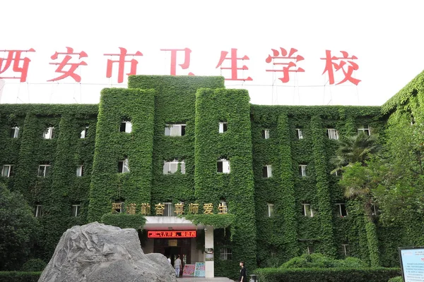 2015年4月28日 陕西省西安市西安健康学校一座覆盖爬虫的建筑景观 — 图库照片
