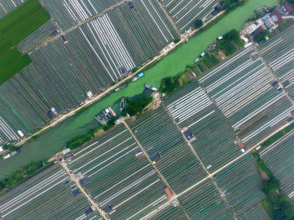 Vista Aerea Del Pesce Che Viene Essiccato Nei Terreni Soleggiati — Foto Stock