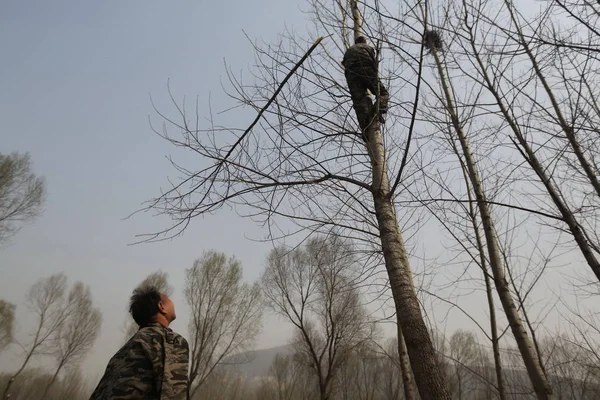 Armless Chiński Człowiek Jia Wenqi Dole Zegarki Jego Ślepy Przyjaciel — Zdjęcie stockowe