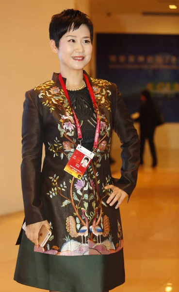 Xiaolin Başkanı Ceo Olan Çin Güç International Holding Limited Kızı — Stok fotoğraf