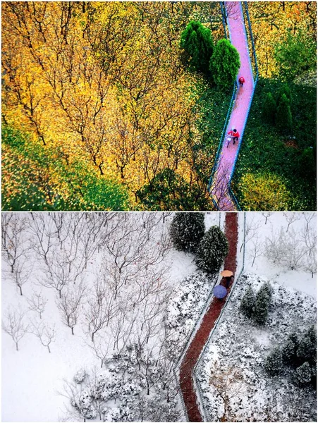 Este Picutre Composto Mostra Parque Florestal Jinan Coberto Por Folhas — Fotografia de Stock
