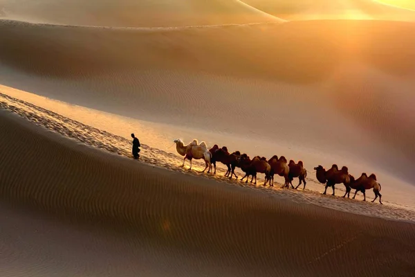 2013年10月29日 在中国西南新疆维吾尔自治区塔里木盆地的塔克拉玛干沙漠 又名塔克拉玛干沙漠 — 图库照片