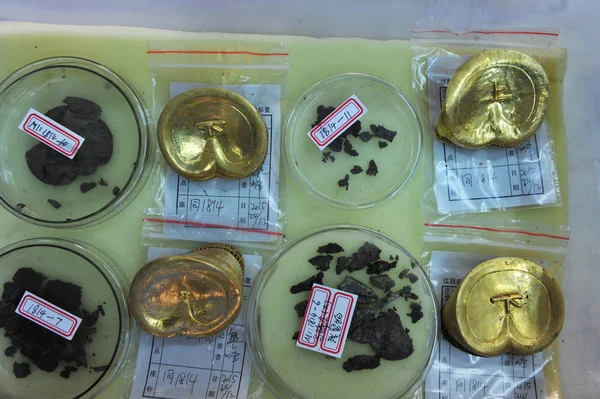 Lingotes Oro Forma Pezuña Con Caracteres Chinos Desenterrados Tumba Haihunhou — Foto de Stock
