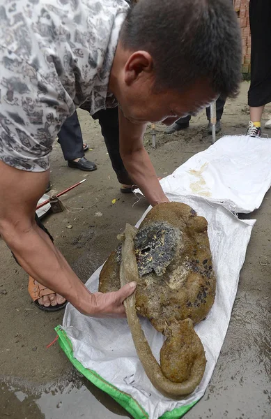 Aldeão Olha Para Monstro Misterioso Depois Que Pescador Chinês Liang — Fotografia de Stock