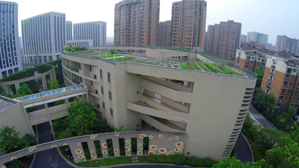 Tekintettel Kert Tetőn Egy Épület Egy Elemi Iskola Hangzhou City — Stock Fotó