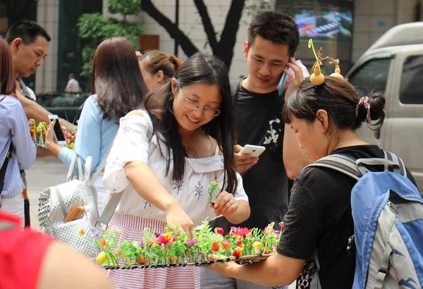 Китайский Поставщик Продает Заколки Волос Пластиковыми Растениями Пешеходам Дороге Чунцине — стоковое фото