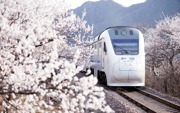 Train Grande Vitesse Crh China Railway High Speed Traverse Mer — Photo