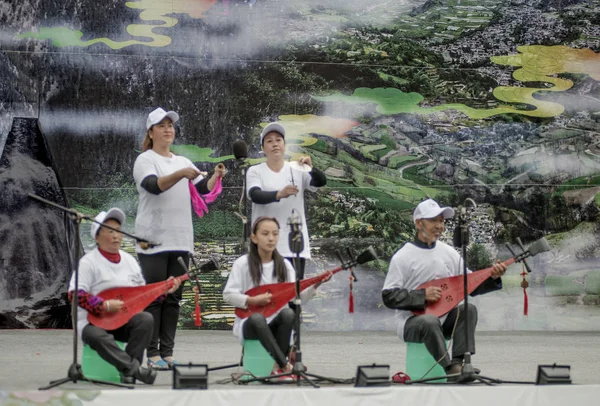 People Play Chinese Lute Pipa Setting New Guinness World Record — Stock Photo, Image