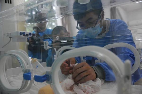 Dipendente Cinese Prende Cura Cucciolo Panda Gigante Neonato Incubatore Presso — Foto Stock