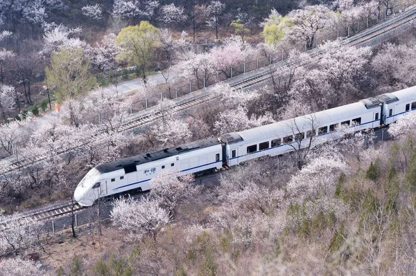 Train Grande Vitesse Crh China Railway High Speed Traverse Mer — Photo