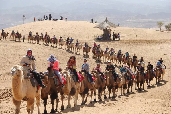 Los Turistas Montan Camellos Desierto Lugar Escénico Shapotou Durante Las — Foto de Stock