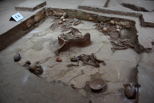 Vista Los Restos Esqueléticos Desenterrados Sitio Arqueológico Principios Edad Bronce — Foto de Stock