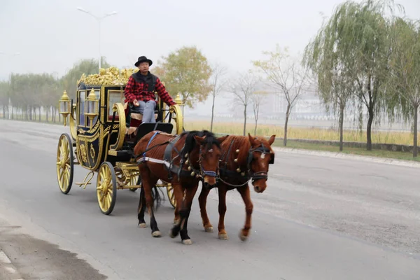 Hombre Chino Sienta Propio Carruaje Tirado Por Dos Caballos Una — Foto de Stock