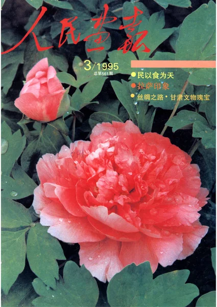 1995年3月发行的 中国画报 封面以牡丹为特色 — 图库照片