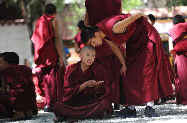 Soubor Tibetských Lámů Debatu Písmu Klášteře Sera Lhase Jihozápadní Číny — Stock fotografie