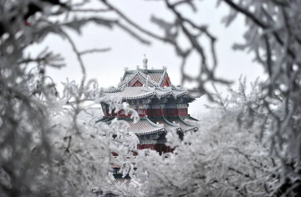 Blick Auf Reimbedeckte Bäume Und Einen Schneebedeckten Pavillon Auf Dem — Stockfoto