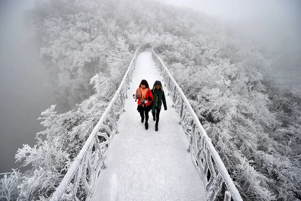 Ходіння Мосту Туристів Насолодитися Видом Паморозь Покриті Дерев Горі Tianmen — стокове фото