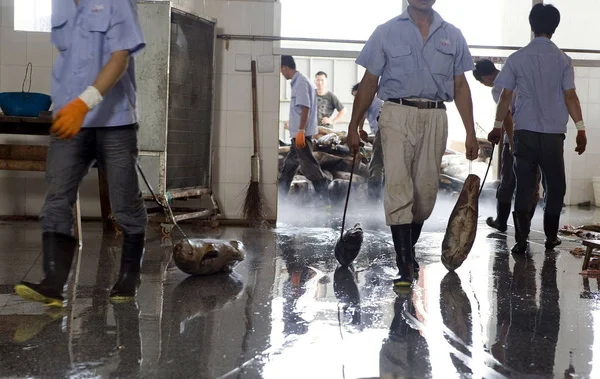 Des Travailleurs Chinois Abattent Des Requins Morts Dans Une Usine — Photo