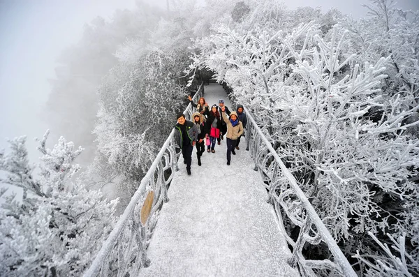 Turistů Chůzi Mostě Obdivovat Výhled Rime Mechem Obrostlých Stromů Tianmen — Stock fotografie