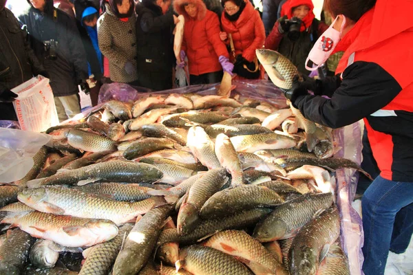 Bezoekers Kijken Naar Vissen Gevangen Tijdens Het Shenyang Winter Fishing — Stockfoto