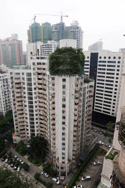 Illegaal Gebouwde Villa Wordt Gezien Bedekt Met Bomen Struiken Het — Stockfoto