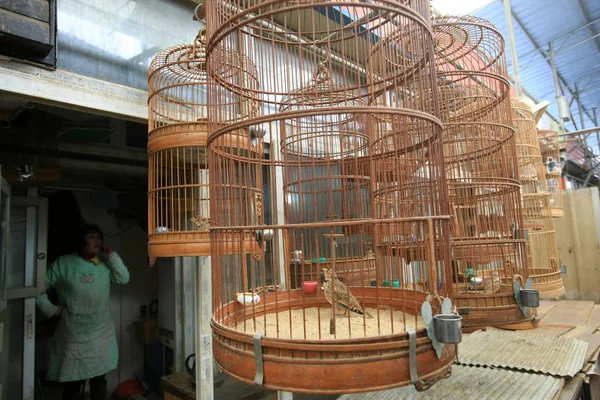 2014년 19일 상하이의 시장에서 새장새를 판매하고 있습니다 — 스톡 사진