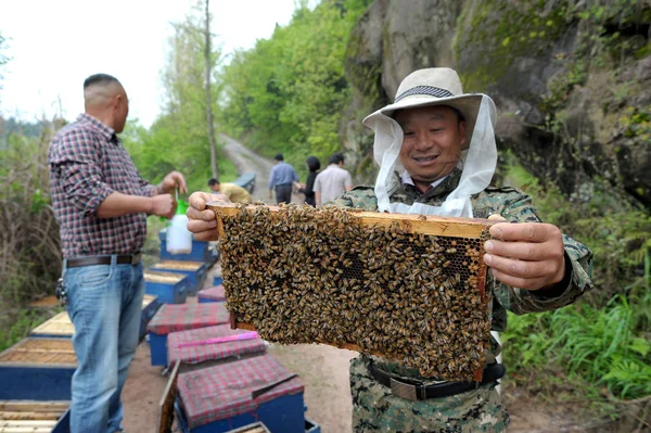 Apicultor Chino Muestra Abejas Que Utilizan Para Cubrir Cuerpo Años —  Fotos de Stock