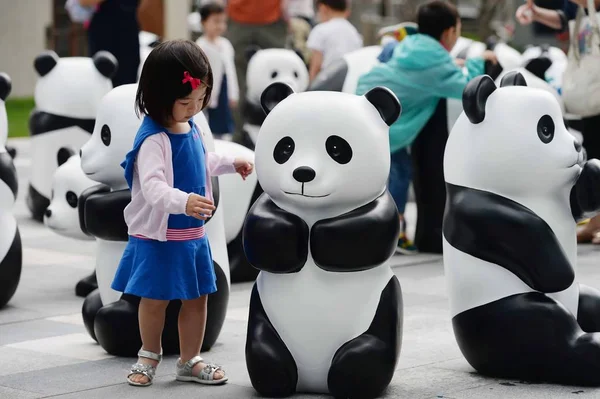 Una Niña Mira Panda Bambú Durante Exposición 1St Panda Centro — Foto de Stock