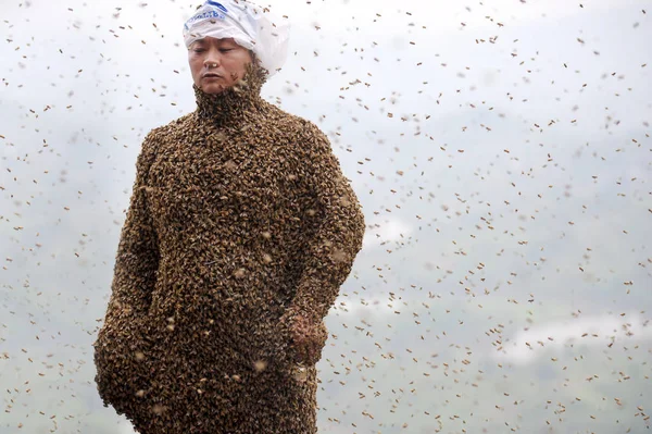 Éves Kínai Méhész Ping Szinte Borítja Méhek Egész Alatt Egy — Stock Fotó