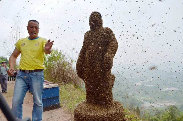 Apicultora China She Ping Años Edad Está Cubierta Abejas Por — Foto de Stock