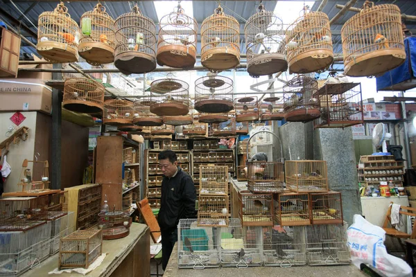 Sprzedawca Stoi Jego Sklepie Ptakami Wanshang Flower Bird Market Szanghaju — Zdjęcie stockowe