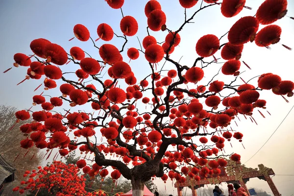 Red Lantern Shaped Decorations Hang Tree Ahead Temple Fair Celebrate — Stock Photo, Image