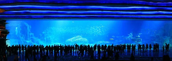 2014年1月28日 在中国广东省珠海市横琴岛 游客参观世界上最大的海洋乐园 中国最大海洋主题公园 奇美龙海洋王国水族馆 — 图库照片