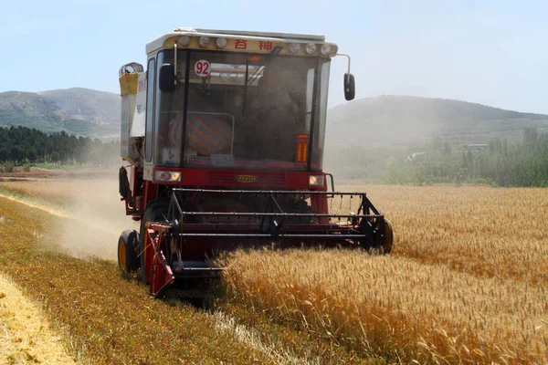 Agricultor Chino Conduce Una Cosechadora Para Cosechar Trigo Campo Ciudad —  Fotos de Stock