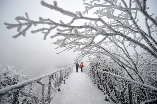 Turistů Chůzi Mostě Obdivovat Výhled Rime Mechem Obrostlých Stromů Tianmen — Stock fotografie