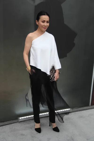 Hong Kong Actress Carina Lau Poses Event One Day Opening — Stock Photo, Image