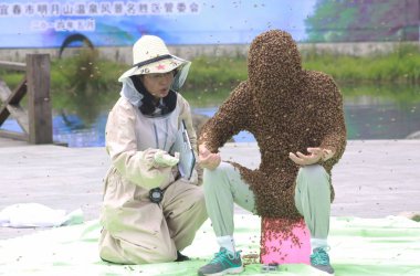 An officer of the World Record Association times Chinese beekeeper Ruan Liangming, right, who is covered with bees to create a new Guinness World Record during the 2014 Guinness China Night on Mingyue Square at Mount Mingyueshan National Park in Yich clipart