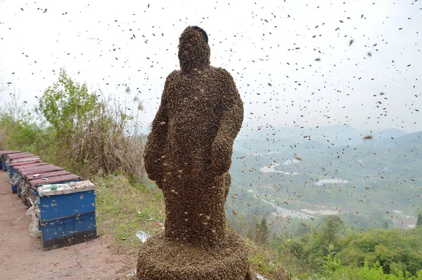 Apicultora China She Ping Años Está Cubierta Abejas Todo Mundo — Foto de Stock