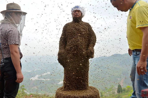 Kínai Méhészek Pillantást Éves Lány Ping Szinte Borított Méhek Egész — Stock Fotó