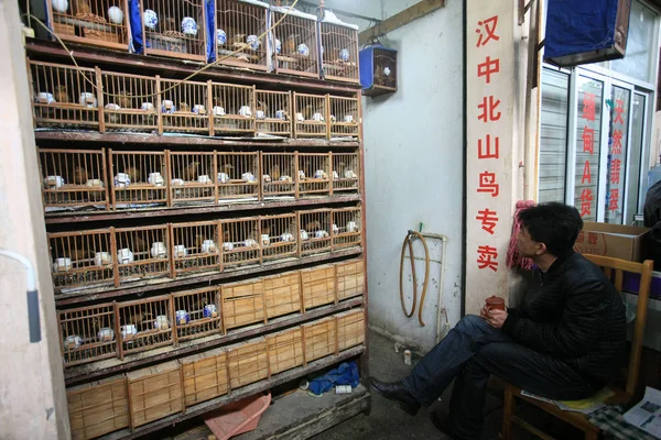 2014년 19일 상하이의 시장에서 상인이 새들을 바라보고 — 스톡 사진
