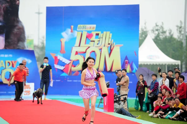 Pies Goni Uczestnik Podczas Wyścigu Psa Ludzkie Changsha City Centrum — Zdjęcie stockowe