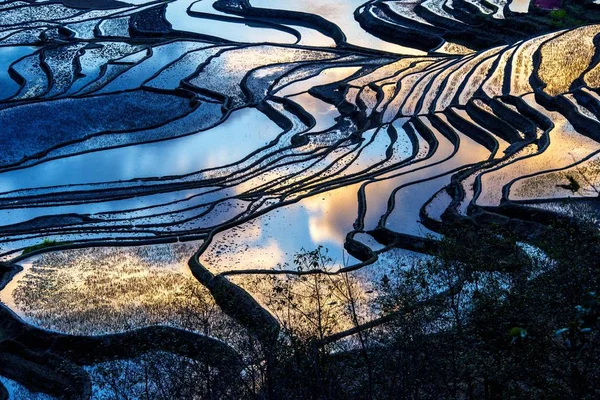 Paisagem Dos Terraços Arroz Yuanyang Condado Yuanyang Honghe Hani Prefeitura — Fotografia de Stock